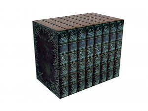 Bookshelf Bookcase Library Modèle 3D