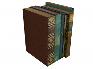 Bookshelf Bookcase Library Modèle 3D