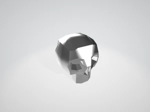 Skull 3D Model