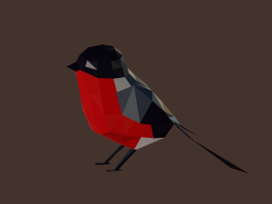 Bullfinch 3D 모델