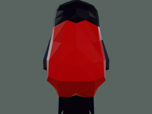 Bullfinch 3D 모델