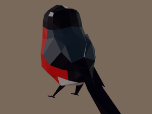 Bullfinch 3D 모델
