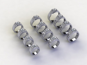 12 Different Ring Size US Model 3D