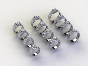 12 Different Ring Size US 3D Model