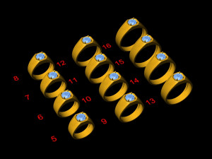 12 Different Ring Size US Model 3D