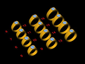 12 Different Ring Size US 3D Model