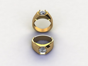 12 Different Ring Size US Model 3D