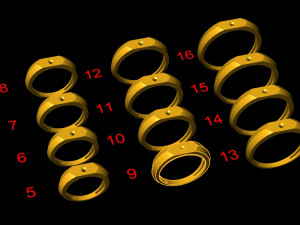 12 Different Ring Size US Modello 3D