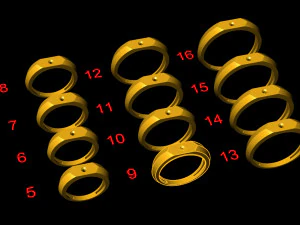 12 Different Ring Size US 3D Model