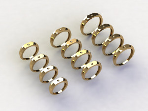 12 Different Ring Size US Modello 3D