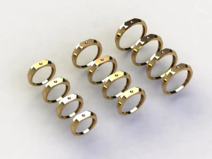 12 Different Ring Size US 3D Model