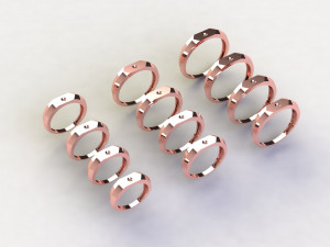 12 Different Ring Size US Modello 3D