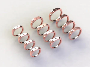 12 Different Ring Size US 3D Model