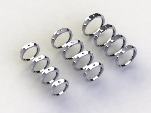 12 Different Ring Size US Modello 3D