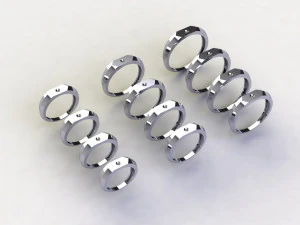 12 Different Ring Size US 3D Model