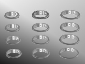 12 Different Ring Size US Modello 3D