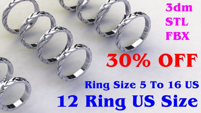 12 Different Ring Size US 3D Model .c4d .max .obj .3ds .fbx .stl .blend 