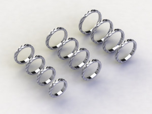 12 Different Ring Size US 3D Model