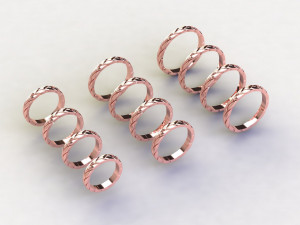 12 Different Ring Size US 3D Model