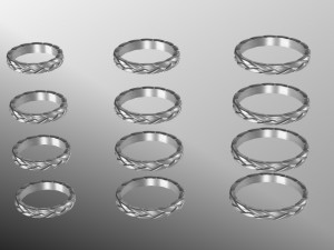 12 Different Ring Size US 3D Model