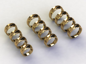 12 Different Ring Size US Modèle 3D