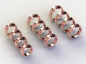 12 Different Ring Size US 3D Model
