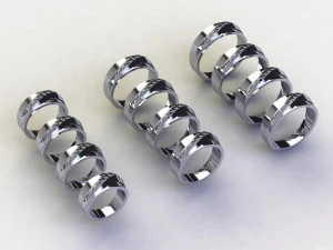 12 Different Ring Size US 3D Model