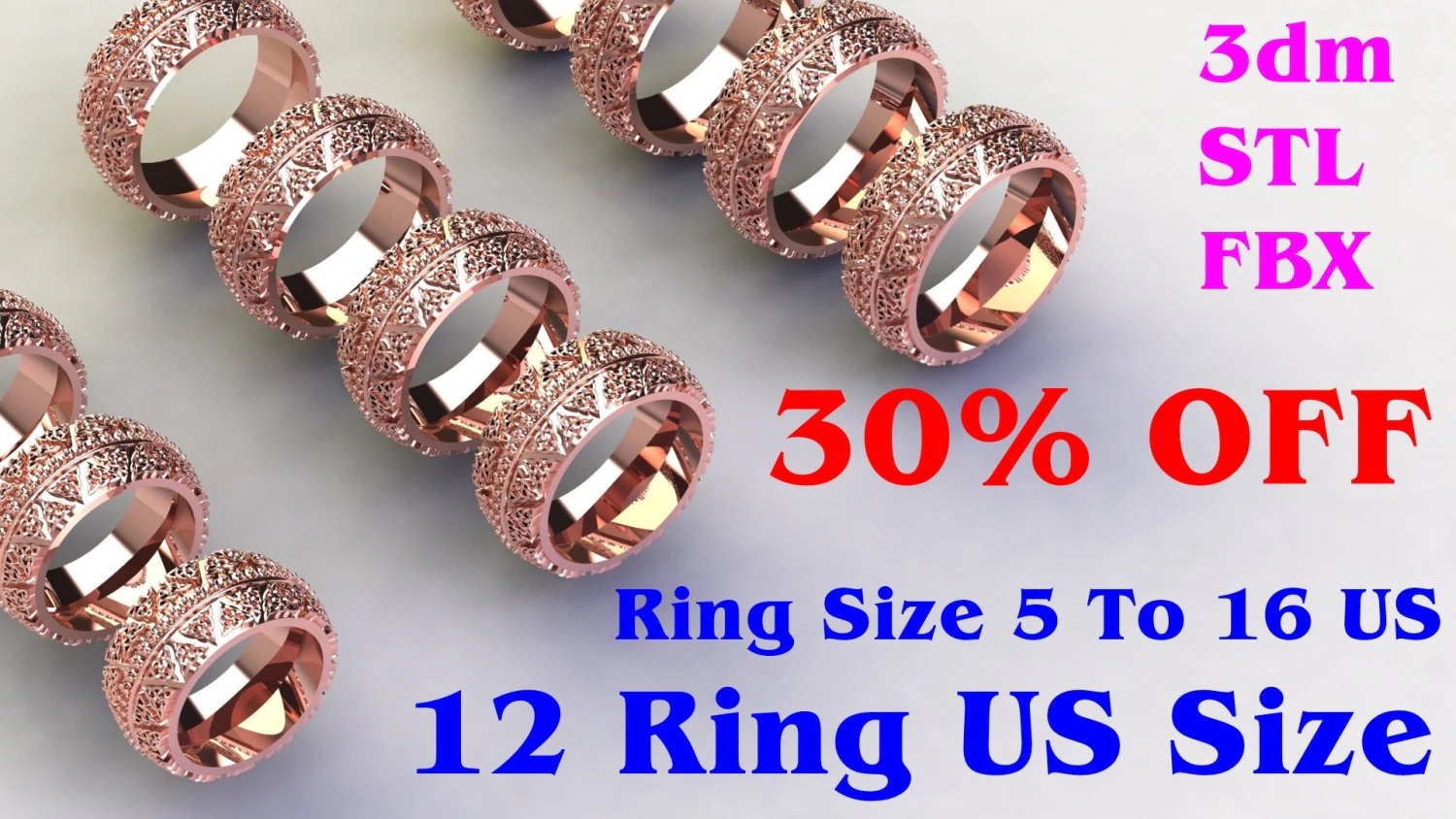 12 Different Ring Size US 3D Model .c4d .max .obj .3ds .fbx .stl .blend 