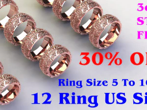 12 种不同的戒指尺寸（美国） 3D 模型