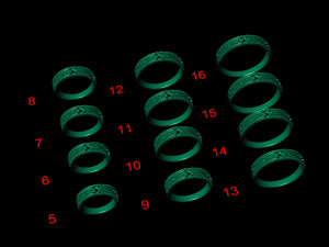 12 Different Ring Size US 3D Model