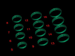 12 Different Ring Size US 3D Model