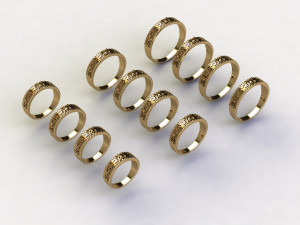 12 Different Ring Size US 3D Model