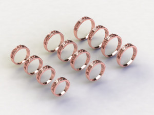 12 Different Ring Size US 3D Model