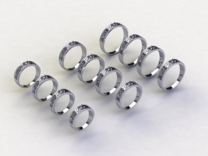 12 Different Ring Size US 3D Model