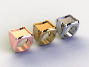 48 Ring Signet Different Size Modèle 3D