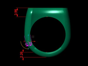 48 Ring Signet Different Size 3D Model