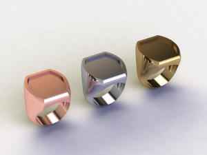 48 Ring Signet Different Size Modèle 3D