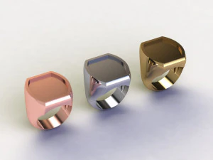 48 Ring Signet Different Size 3D Model