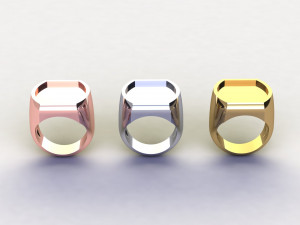 48 Ring Signet Different Size Modèle 3D