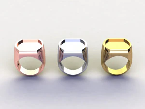 48 Ring Signet Different Size 3D Model