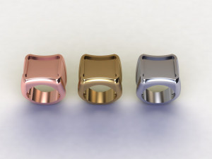 48 Ring Signet Different Size Modèle 3D