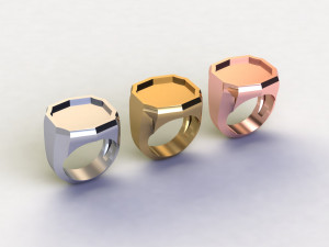48 Ring Signet Different Size Modèle 3D