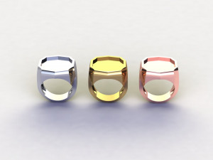 48 Ring Signet Different Size Modèle 3D