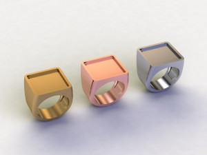 48 Ring Signet Different Size Modèle 3D