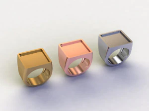 48 Ring Signet Different Size 3D Model