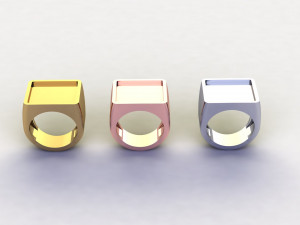 48 Ring Signet Different Size Modèle 3D