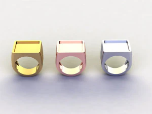 48 Ring Signet Different Size 3D Model