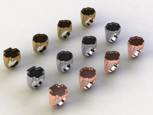 48 Ring Signet Different Size 3D 模型
