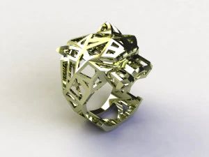 Kaplan Y&uuml;z&uuml;ğ&uuml; 3D Model