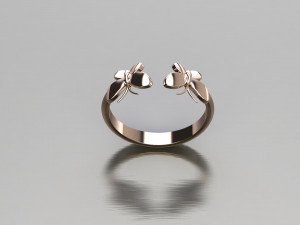 Women Ring Cad File 3D Print Model